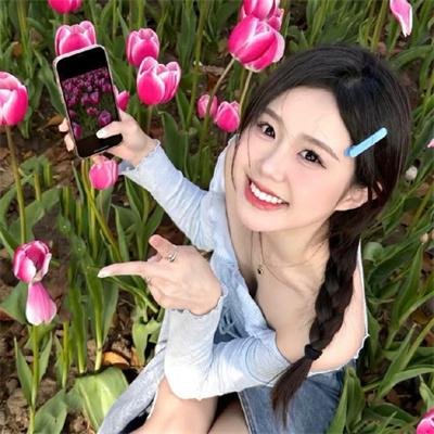 双生赤狐